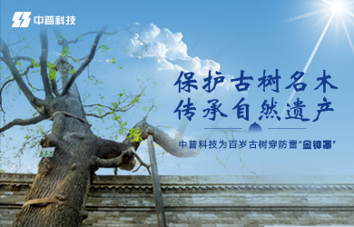 古樹(shù)防雷接地系統(tǒng) 古樹(shù)防雷接地系統(tǒng)